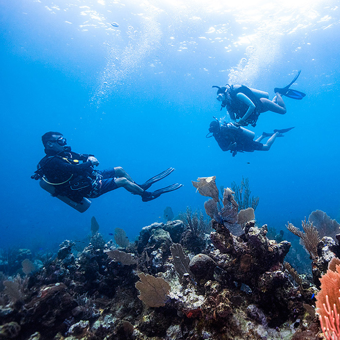 PADI Dive Master Program in Pemuteran