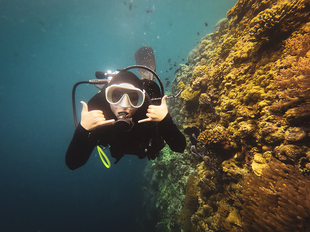 Diver on coral wall Menjangan