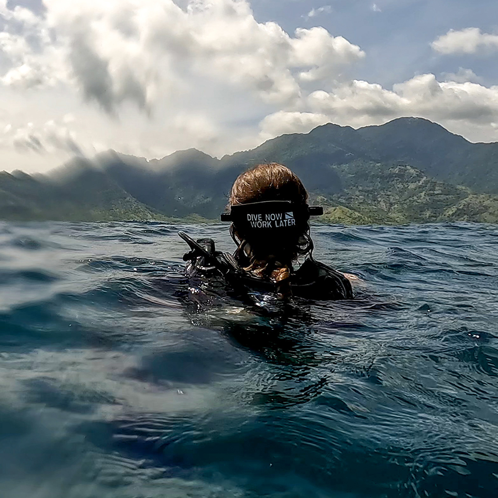 Dive more work less at Menjangan