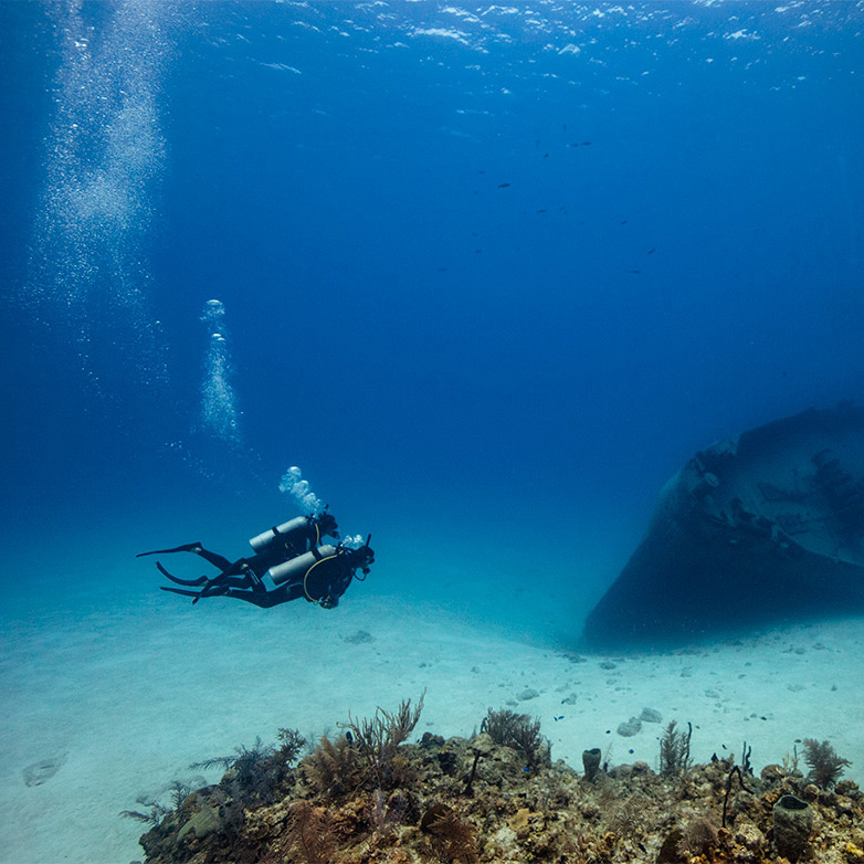 PADI Advanced Open Water Diver in Pemuteran, Bali